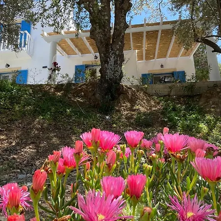 别墅 The Velanidies - οι βελανιδιές