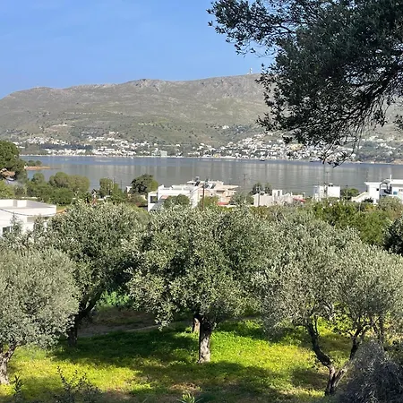 The Velanidies - οι βελανιδιές * Agia Marina (Leros)
