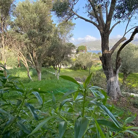 The Velanidies - οι βελανιδιές 别墅 *