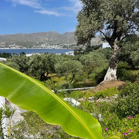 The Velanidies - οι βελανιδιές *