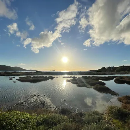 The Velanidies - οι βελανιδιές *