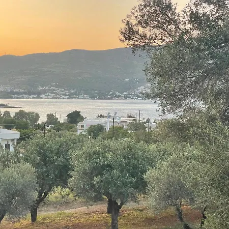 The Velanidies - οι βελανιδιές * Агия-Марина