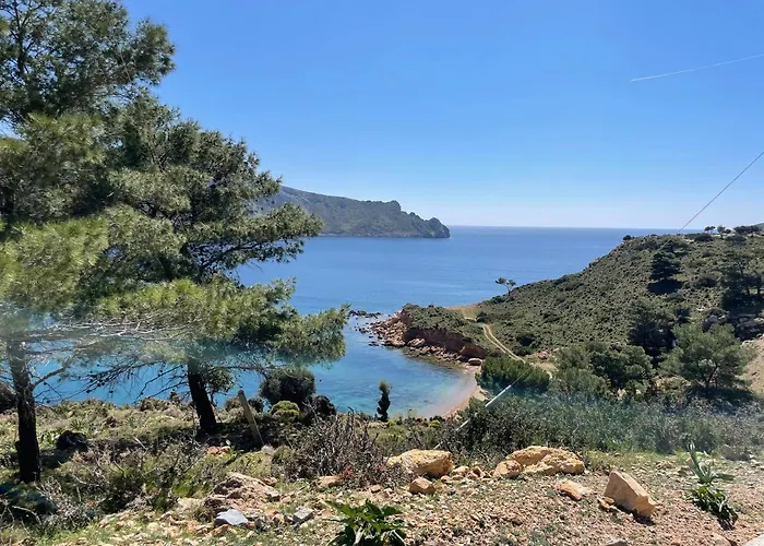 The Velanidies - οι βελανιδιές فيلة *