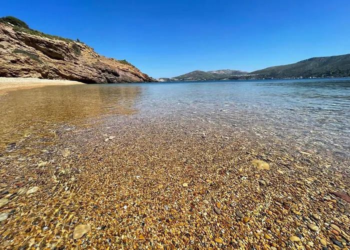 فيلة The Velanidies - οι βελανιδιές
