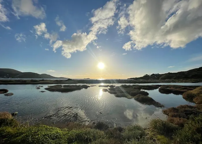 The Velanidies - οι βελανιδιές *