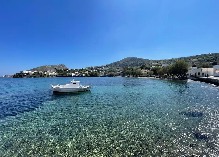 The Velanidies - οι βελανιδιές فيلة *