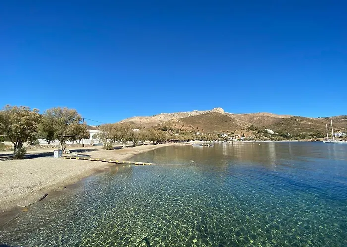 فيلة The Velanidies - οι βελανιδιές *