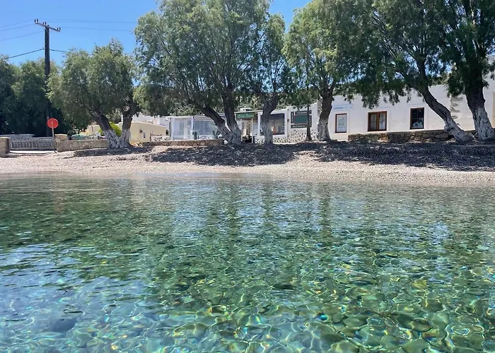 فيلة The Velanidies - οι βελανιδιές *