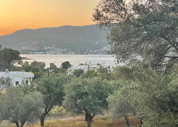 The Velanidies - οι βελανιδιές * اجيا مارينا