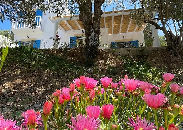 فيلة The Velanidies - οι βελανιδιές