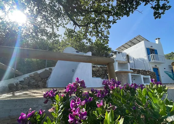 The Velanidies - οι βελανιδιές