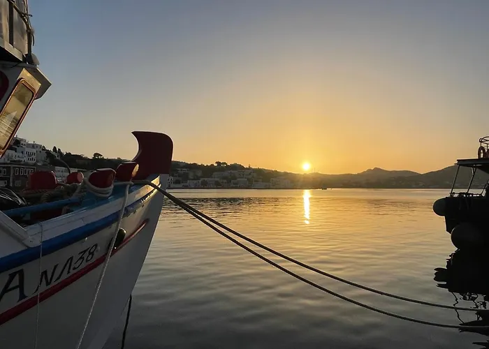 فيلة The Velanidies - οι βελανιδιές *