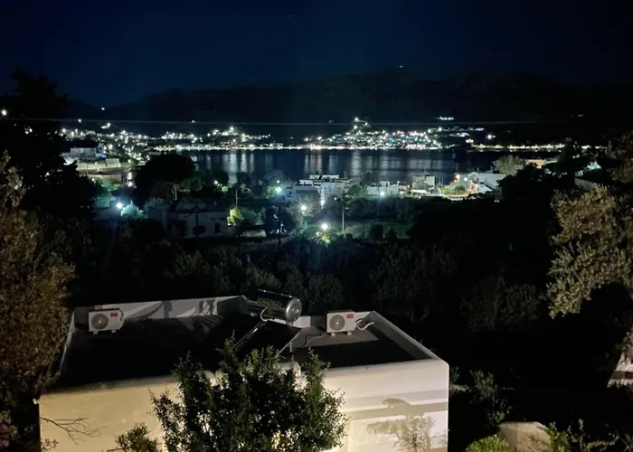 The Velanidies - οι βελανιδιές *