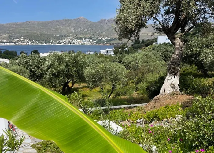 The Velanidies - οι βελανιδιές *