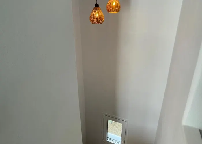 The Velanidies - οι βελανιδιές